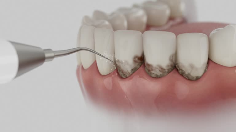 Reliable Dental contractor in Hilbert, WI by Dentist Open Now